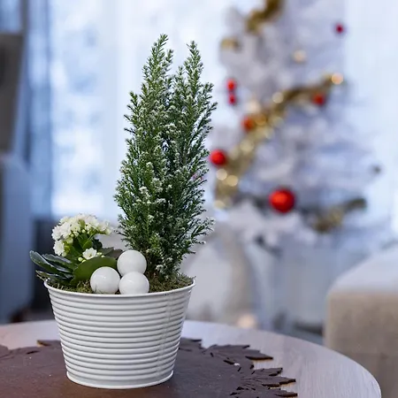 Kodikas Paritalohuoneisto Appartement Rovaniemi