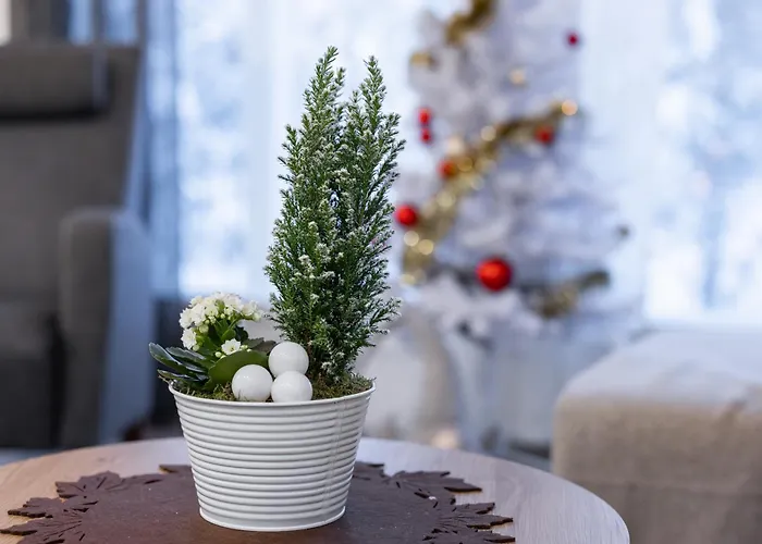 Kodikas Paritalohuoneisto アパート ロヴァニエミ