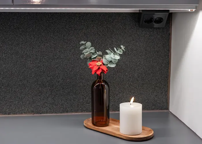 アパート Kodikas Paritalohuoneisto ロヴァニエミ